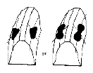 G04847386
