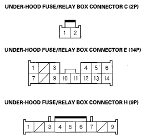 G05487845