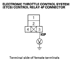 G05523905