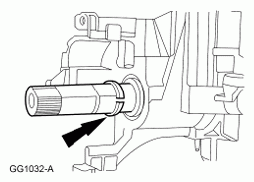 G06137296