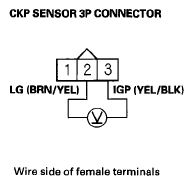 G06264521