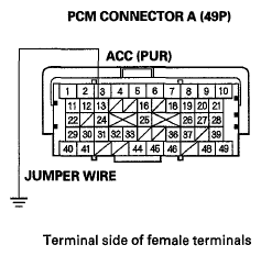 G06425319
