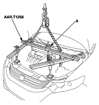 G06428796