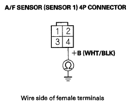 G06429246