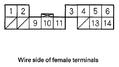 G06431787