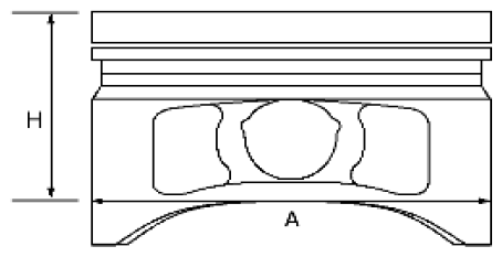 G06440868