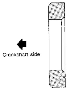 G06441095