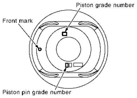 G06441137