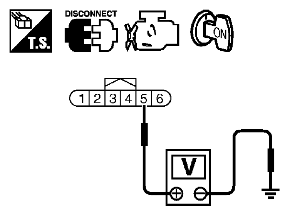 G06441273