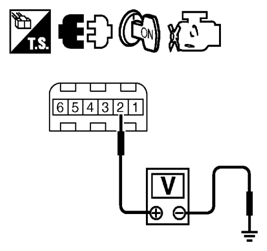 G06441531