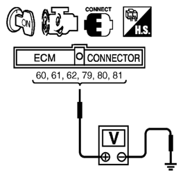 G06441685
