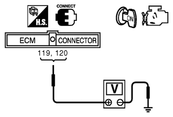 G06441686