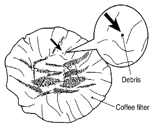 G06442855