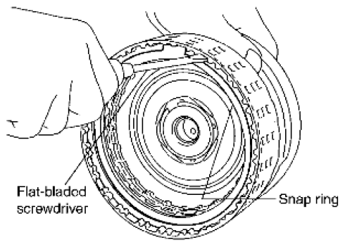 G06443029