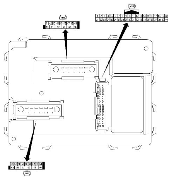 G06443431