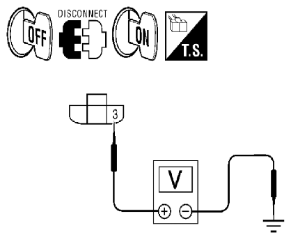 G06443453