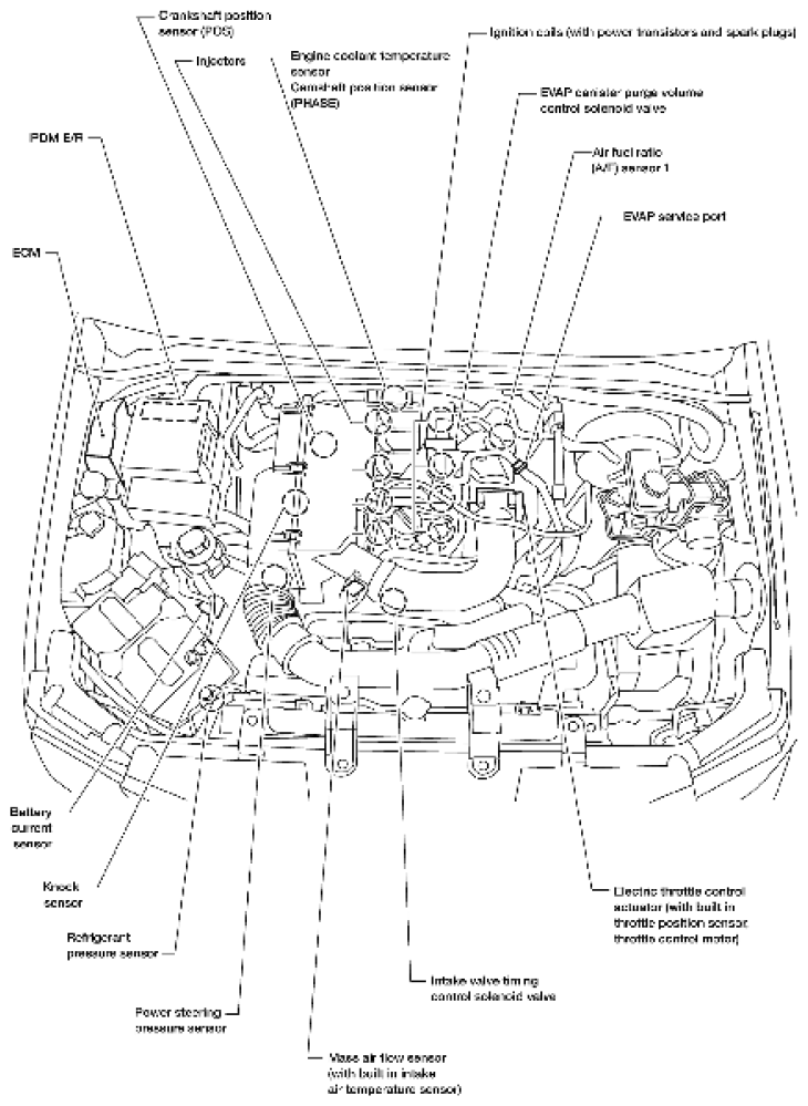 G06443937
