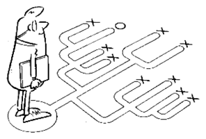 G06443946