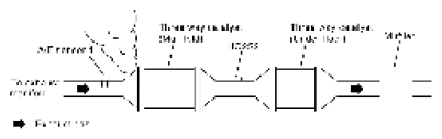 G06444086