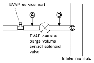 G06444176