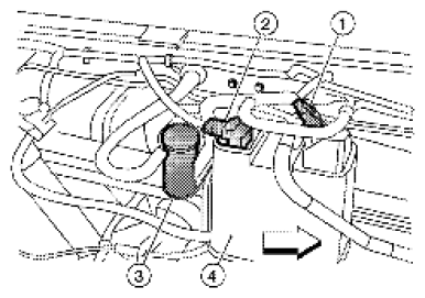 G06444215