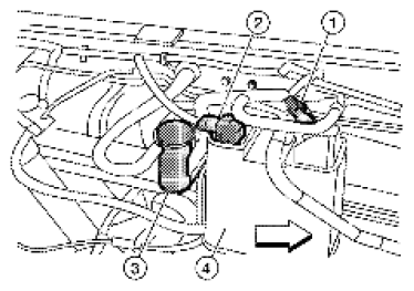 G06444242