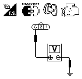 G06444253