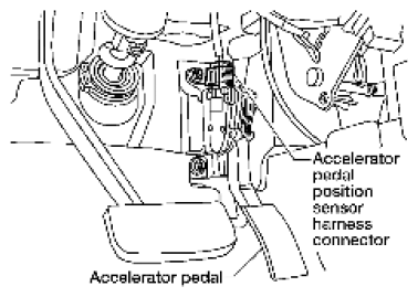 G06444343