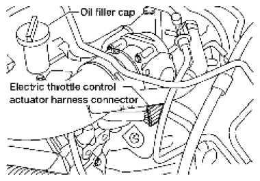 G06444348