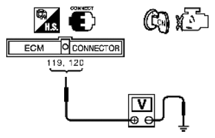 G06444398