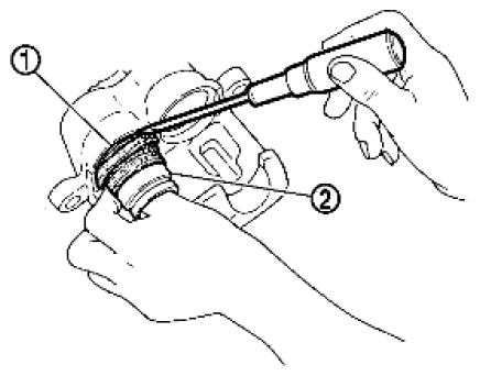 G06445658