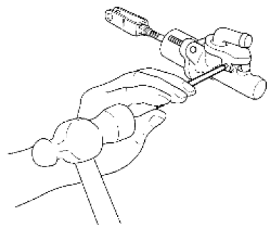 G06445781