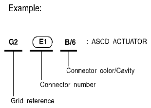 G06446058
