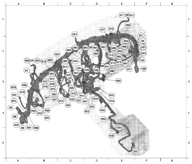 G06446061