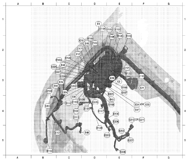 G06446062