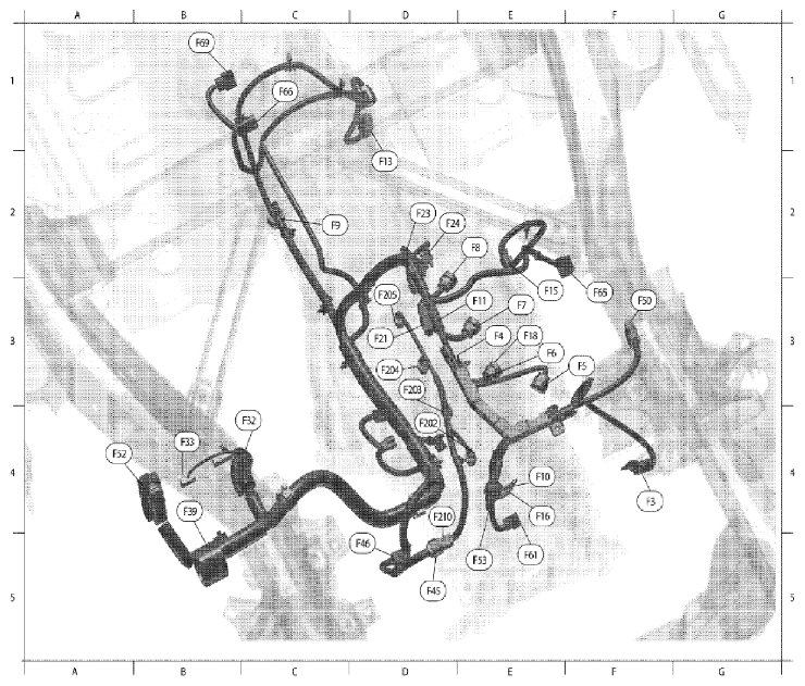 G06446065