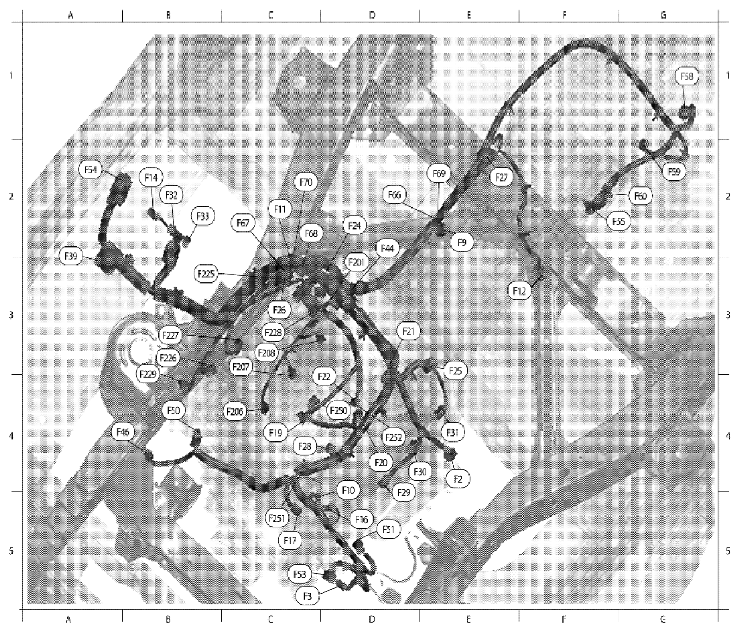 G06446066