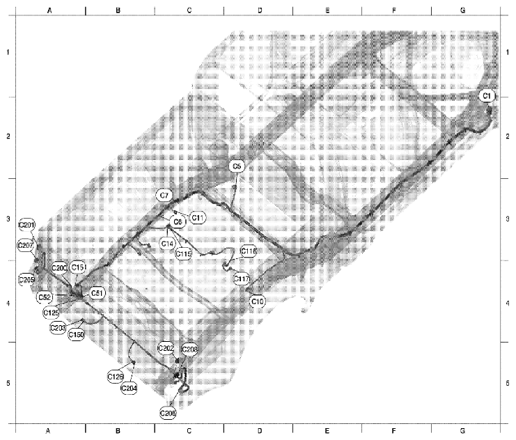 G06446067