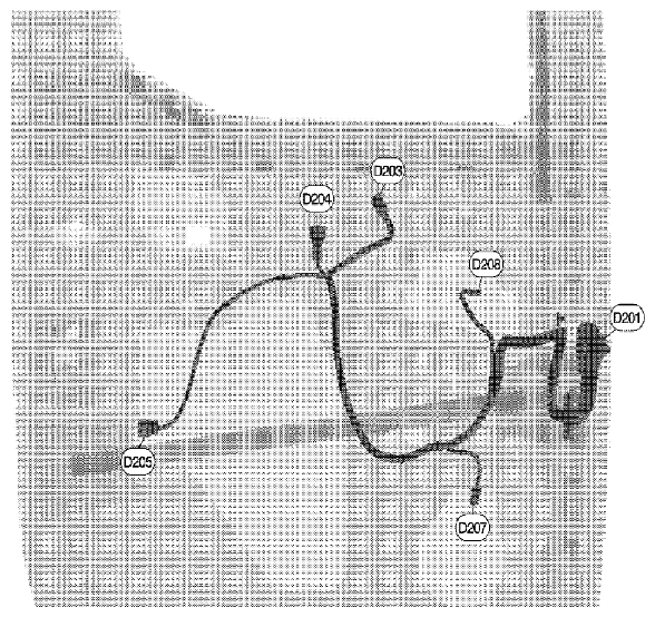 G06446077