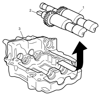 G06493266