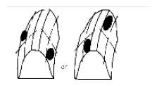 G06493872