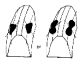 G06493874
