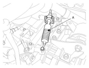 G06494555