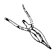 G06498798