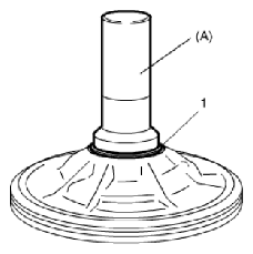 G06500204