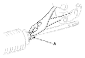 G06524788