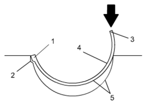 G06528208