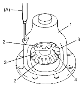 G06528493