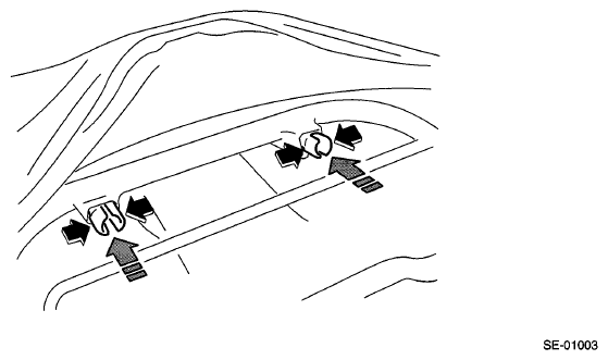 G06653796