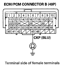 G06679545